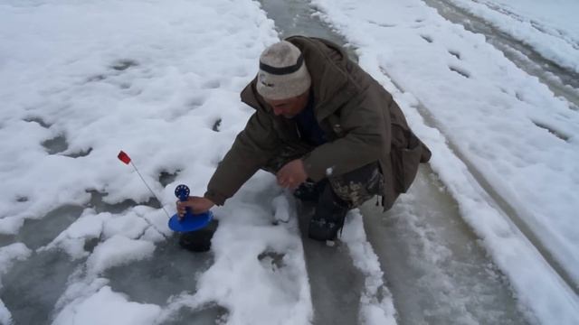 Зачетная щука