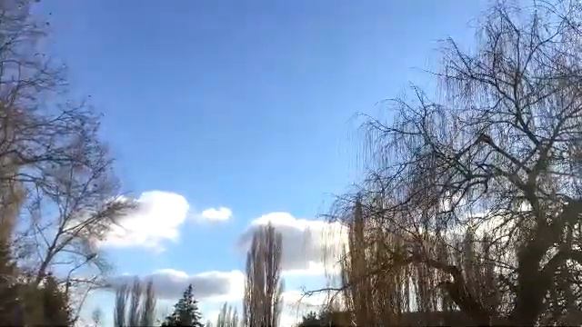 Одинокий пастух на панфлейте смотреть онлайн