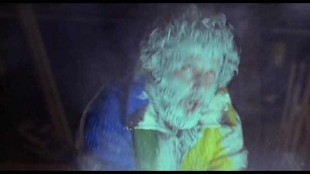 Home Alone 2 - Harry On Fire