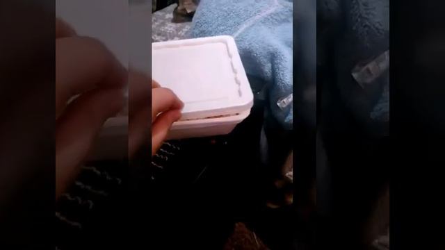 Тест на вкус:тайский личи смотреть онлайн