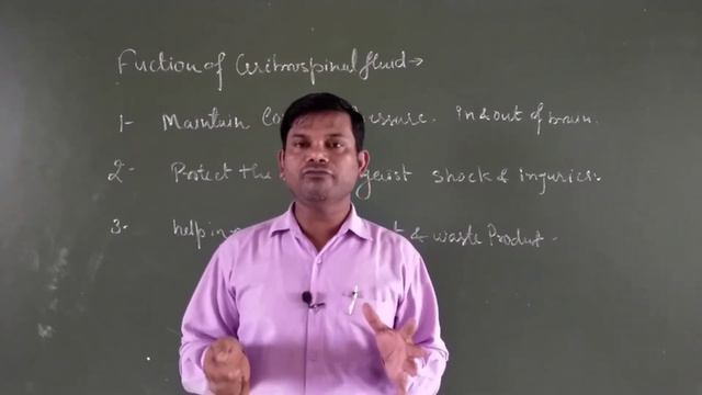 Brain | Menninges | Cerebrospinal Fluid | CBSE / ISC/ By Sanjeet Roy