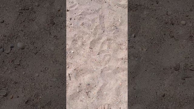 пляж Азовского моря смотреть онлайн