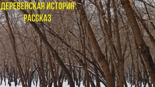 Деревенская история - рассказ. | Она неумеха. Зачем тебе такая жена... смотреть онлайн