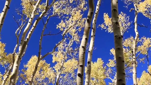 Астрологический прогноз для Близнецов на июль 2023 года