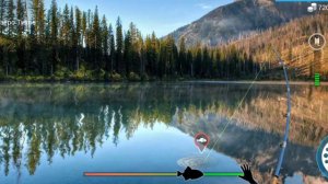 Рабалка на о. Тихом! My Fishing World #4