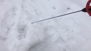 ПОЙМАЛ ХАРИУСА НА РАТТЛИН ПЕРЕШЕЛ НА БЛЕСНУ И ПОНЕСЛАСЬ РЫБА ЗА РЫБОЙ