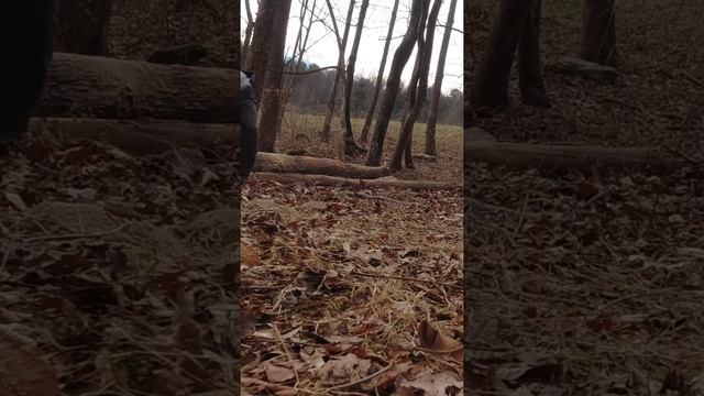 Gathering Firewood смотреть онлайн