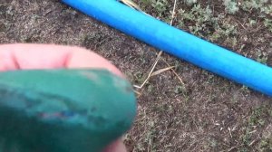 Дренажно фекальный рукав 2" Вся правда Шланг пожарный рукав 2" 50м Пвх Польша