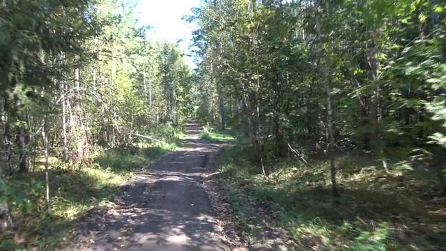 ПРОГУЛКА НА РОДНИК «ШУРЧАВЫЙ». КУЗНЕЦКИЙ ЛЕС. ЛЕТО 2021. смотреть онлайн