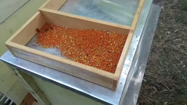 Донный пыльцесборник. Эксперимент. Работа с обоими открытыми летками. Результат радует. смотреть онлайн