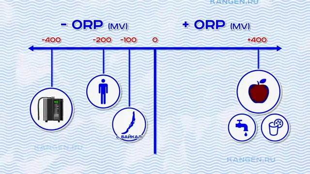 Купить воду. Компания Enagic - лидер на мировом рынке продукции для очистки воды смотреть онлайн