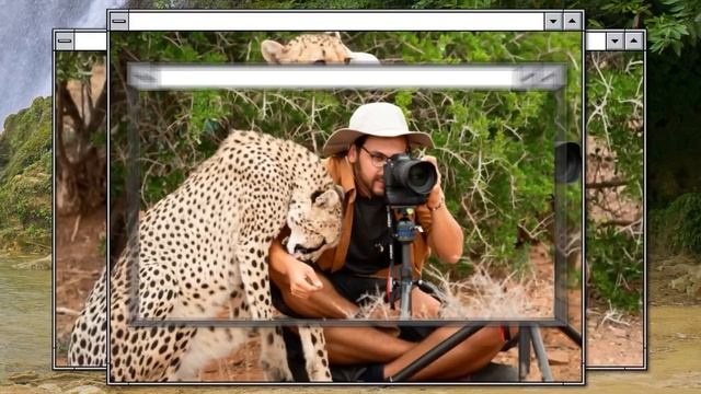 Опасные Животные, Которые Могут Быть Дружелюбными смотреть онлайн