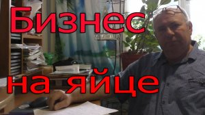 Ликбез по куриному бизнесу. Доходы на яйце.