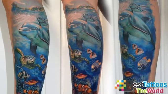 The Best Dolphin Tattoos смотреть онлайн