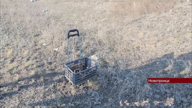 Орские школьники положили на пути пикетные столбики