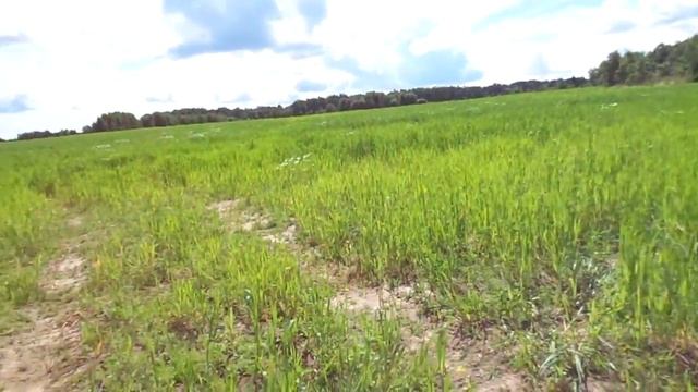 ОРИЕНТИРОВАНИЕ В ЛЕСУ. Когда закончилась дорога. смотреть онлайн