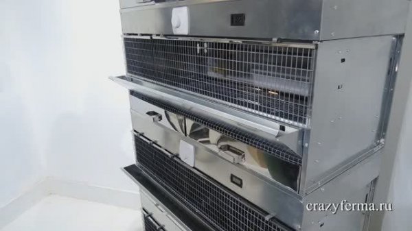 Брудер для цыплят с термометром _Профессионал_ от CrazyFerma