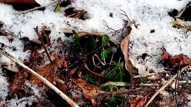 СРОЧНО ПОДЕЛИТЕСЬ ЭТИМ ВИДЕО И РАДОСТЬ БУДЕТ В ВАШЕМ СЕРДЦЕ13.01.2021 г.