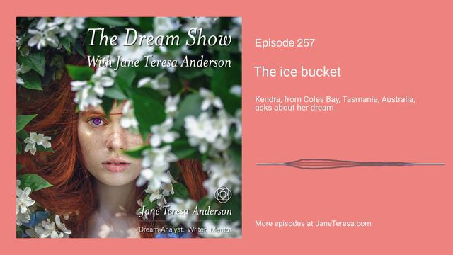 Episode 257 The Dream Show with Jane Teresa Anderson The Ice Bucket смотреть онлайн