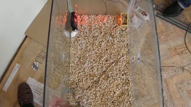 Ультразвуковой отпугиватель грызунов Град А-1000 ПРО беззвучный режим тест смотреть онлайн