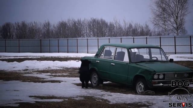 Дог-Сервис 1 смотреть онлайн