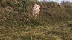 Наконечник для Стрел Шокер Раскрывашка!