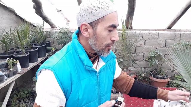 Ивермектин quyonlar uchun. Qo‘llanilishi, muddatlari, dozalari. Ивермектин для кроликам. смотреть онлайн