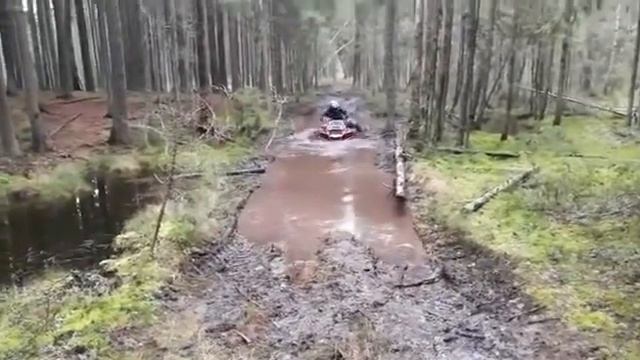 BRP Xmr 650 и небольшая лужа