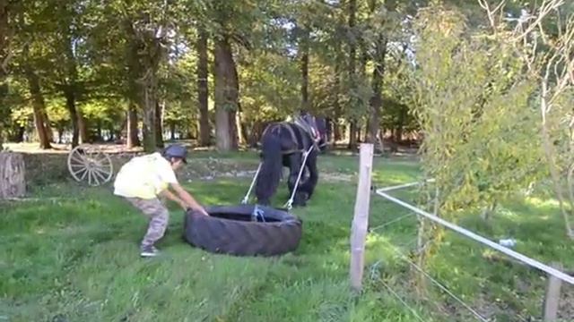 tonnerre à l échauffement смотреть онлайн