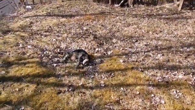 Выходной, необходимая часть. Летала как ведьма на метле. ;) смотреть онлайн