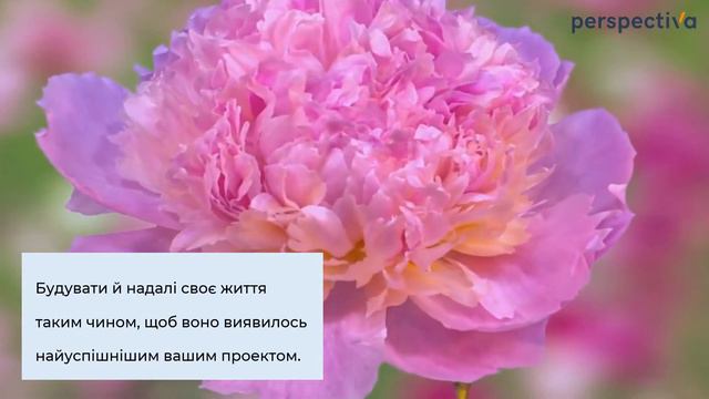 8 марта. Поздравление для милых женщин! смотреть онлайн