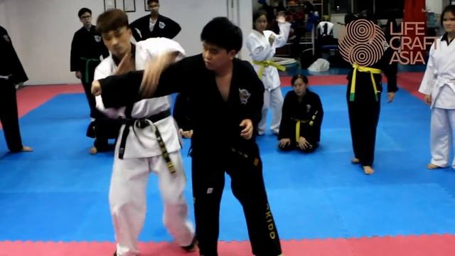 Hapkido Hosinsul (Applied Self Defense) смотреть онлайн