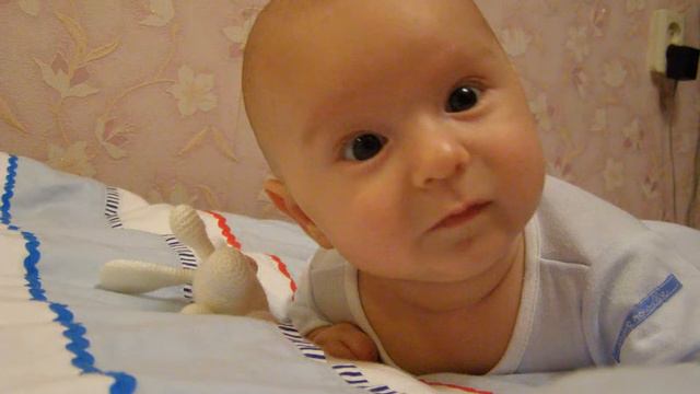 sshow 2016 08 06 175818 смотреть онлайн