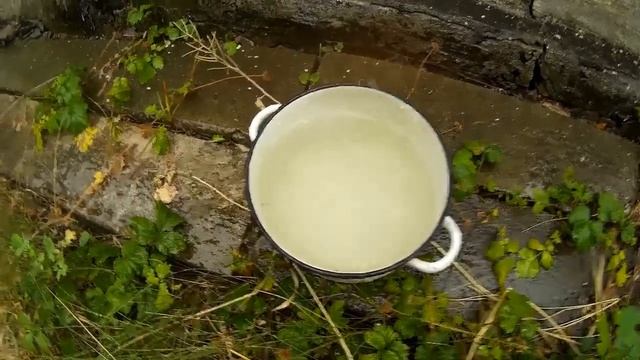 Куры Дождевая вода ускоритель роста смотреть онлайн