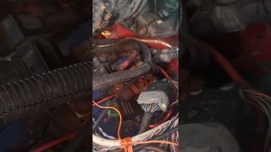 Ивеко дейли ремонт едс