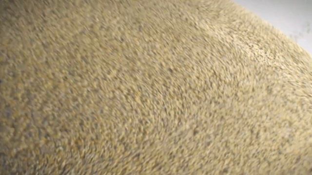 Pollogen - Geneo New Oxypods