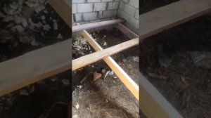 Полы в дачном доме ( своими руками ).