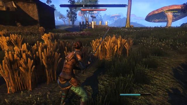 THE ELDER SCROLLS ONLINE | Morrowind | Part 5 смотреть онлайн
