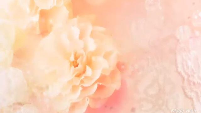 Вторая свинка? | Пополнение! | Брат для Пушка! | Какое имя выбрать? смотреть онлайн