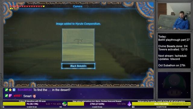 The Legend of Zelda: Breath of the Wild - blind playthrough [#27] смотреть онлайн