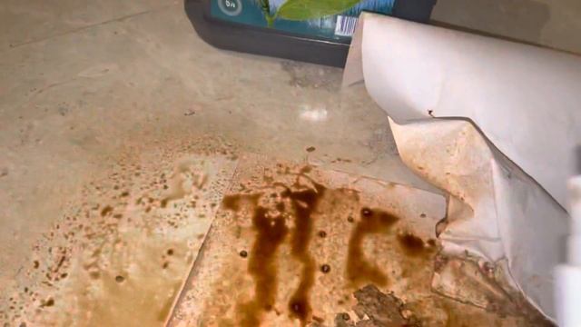 Нейтрализация запахов в кошачьем туалете с помощью препарата NeroOriginal Extra youtube google смотреть онлайн