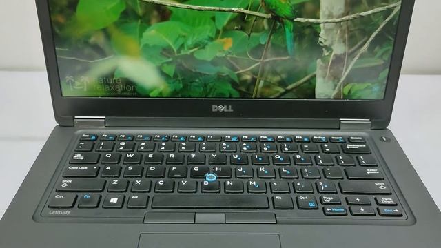 Review laptop sinh viên/văn phòng giá rẻ Dell Latitude 5480 i5-6300U 256Gb SSD смотреть онлайн