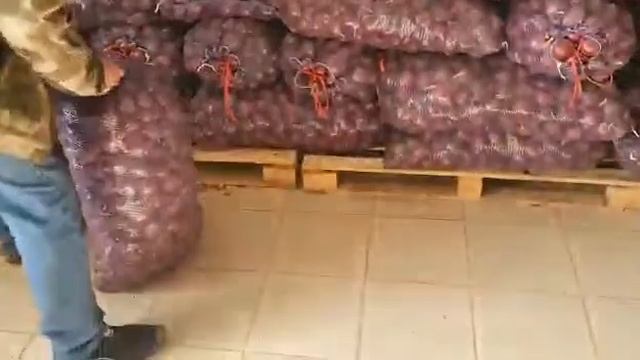 Красный и Фиолетовый Лук смотреть онлайн