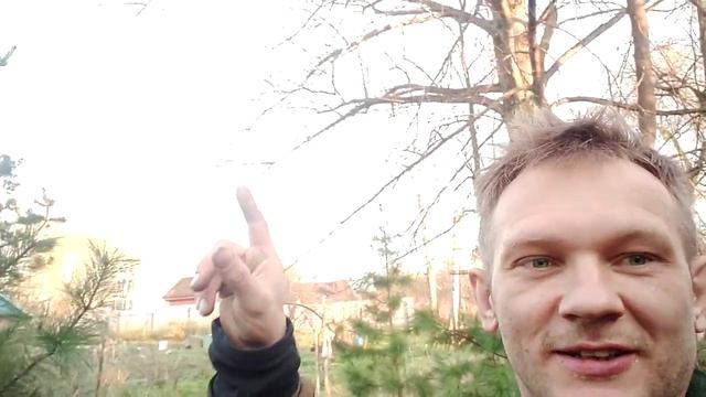 Добрый знак! Птичка и яичко! смотреть онлайн