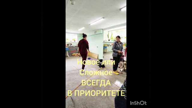 Агрессия на собак или зооагрессия. Продолжаем улучшать результат.