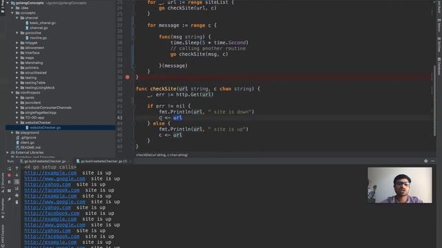 go lang website health checker program смотреть онлайн