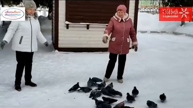 Онлайн-конкурсе видеороликов «Зимние забавы» смотреть онлайн