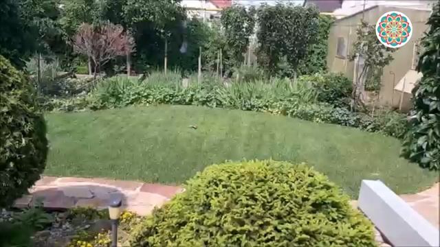 Копия- мудрая сказка для детей и взрослых, поучительная сказка, сказки на ночь, слушать сказку смотреть онлайн