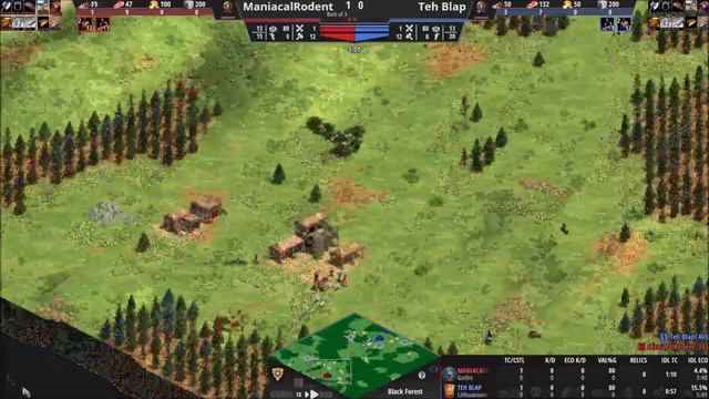 AoE2 Noob Cup! Semifinal A - Teh Blap vs. Maniacal Rodent смотреть онлайн