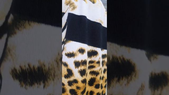 КРАСИВЫЕ КОШКИ смотреть онлайн